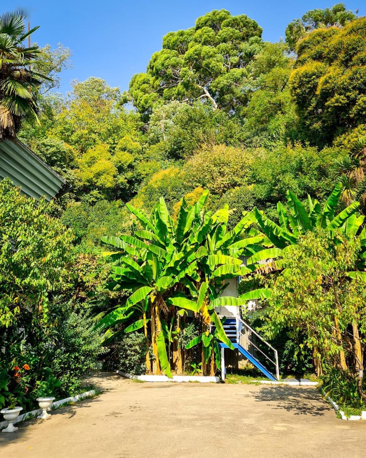 Baza Otdyha Miya Hotel Gudauta Esterno foto
