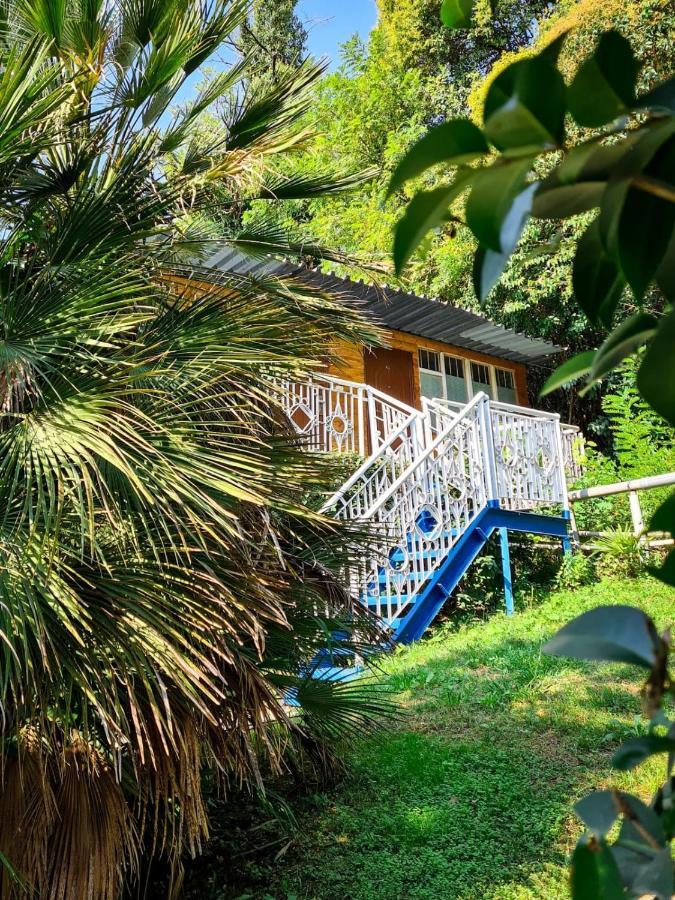 Baza Otdyha Miya Hotel Gudauta Esterno foto