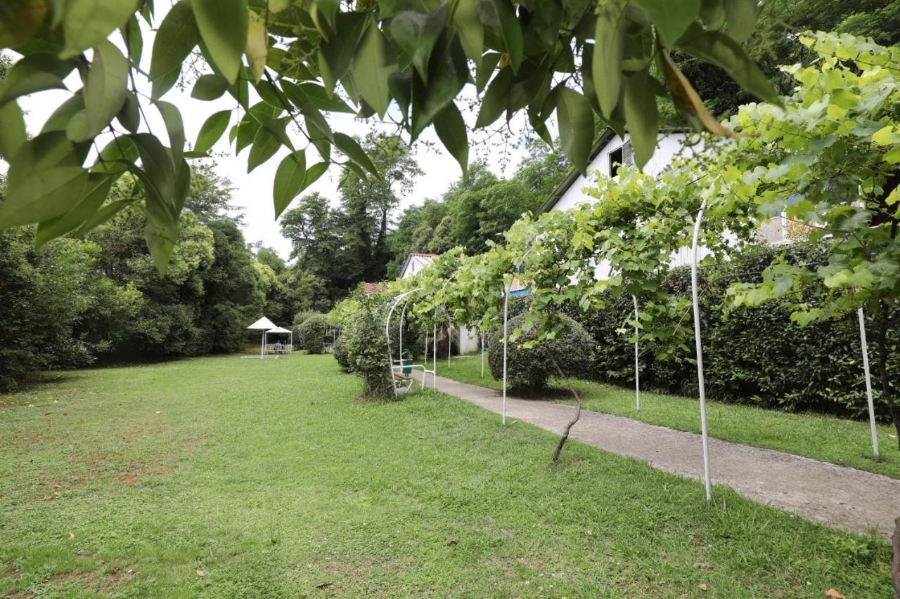 Baza Otdyha Miya Hotel Gudauta Esterno foto