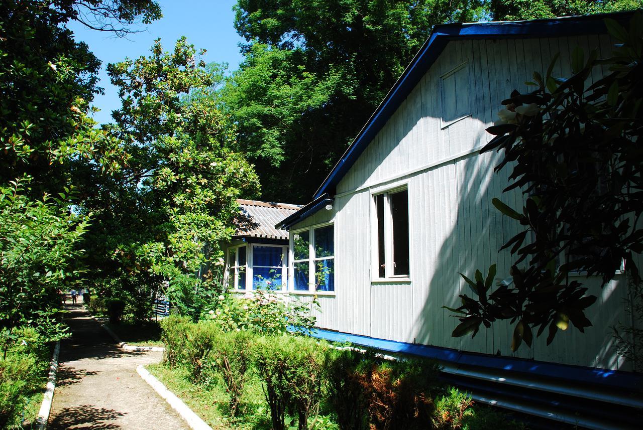 Baza Otdyha Miya Hotel Gudauta Esterno foto
